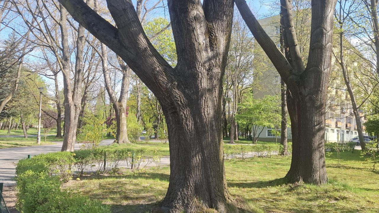 Mieszkanie 2-pokojowe Kraków Nowa Huta, os. Handlowe. Zdjęcie 15