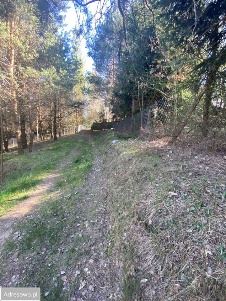 Działka rekreacyjna Kiełpiny. Zdjęcie 6