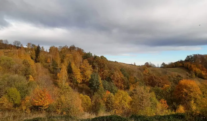 Działka budowlana Rościszów