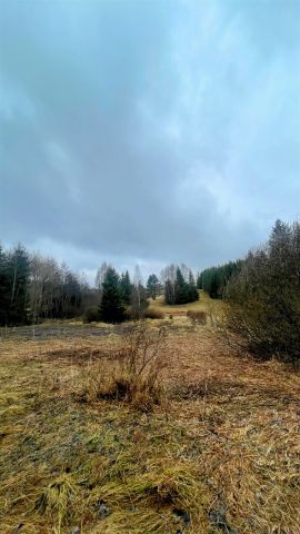 Działka rolna Tylicz. Zdjęcie 6