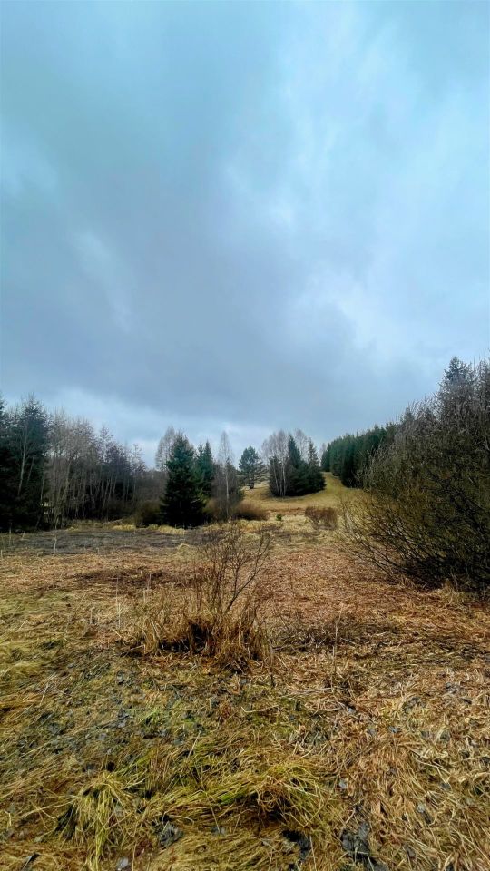 Działka rolna Tylicz. Zdjęcie 6