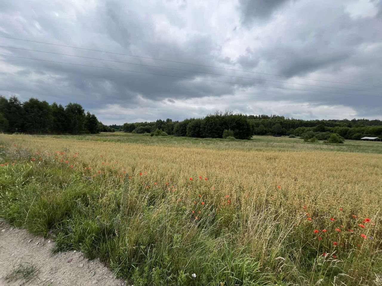 Działka inna Mierzeszyn, ul. Leśna. Zdjęcie 8