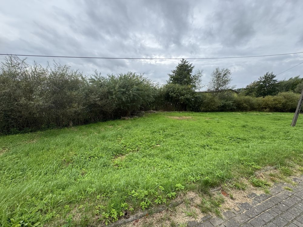 Działka inwestycyjna Dobre. Zdjęcie 3