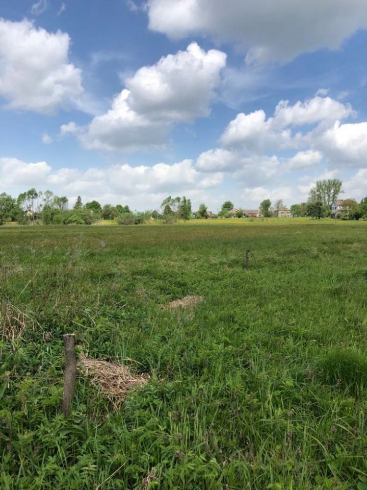 Działka rolno-budowlana Kowalówka. Zdjęcie 3