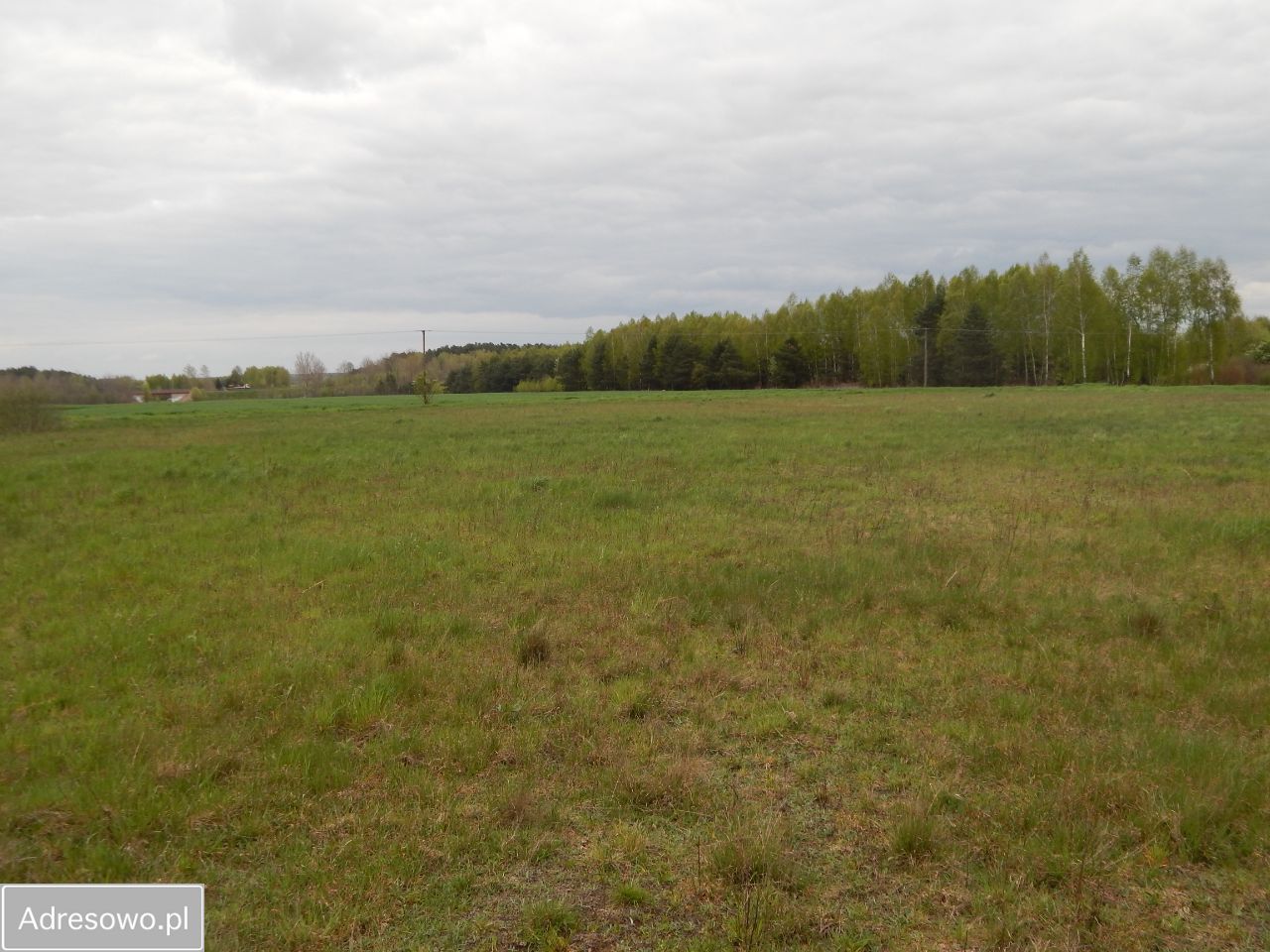 Działka Guty. Zdjęcie 7