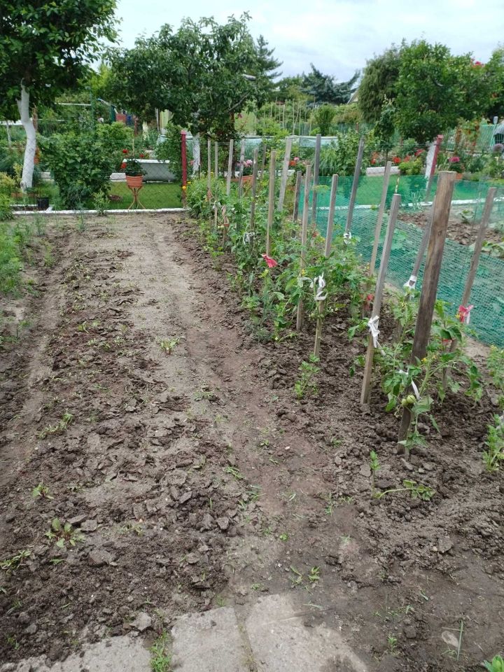 Działka rod Lubin. Zdjęcie 2