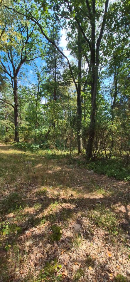 Działka rekreacyjna Płatkownica. Zdjęcie 6