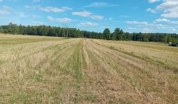 dom wolnostojący, 3 pokoje Daleszyce