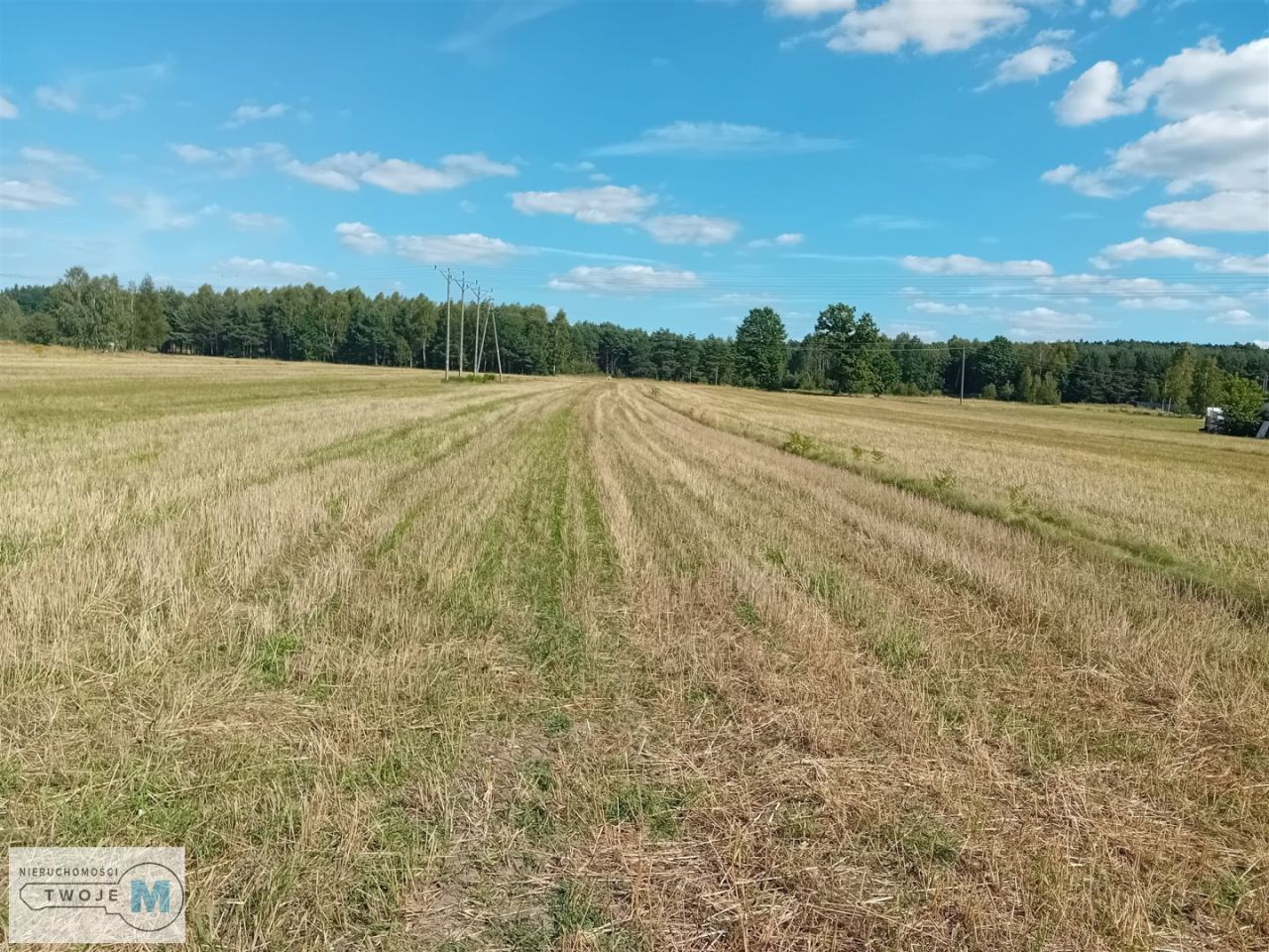 dom wolnostojący, 3 pokoje Daleszyce. Zdjęcie 2