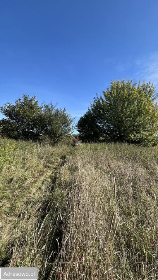 Działka budowlana Kozery, ul. Główna. Zdjęcie 9