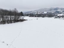 Działka budowlana Kurów. Zdjęcie 4