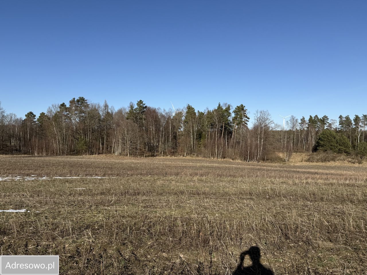 Działka siedliskowa Chrzanowo. Zdjęcie 5