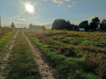 Działka budowlana Suszno Suszno-Kolonia, ul. Brzoskwiniowa. Zdjęcie 3