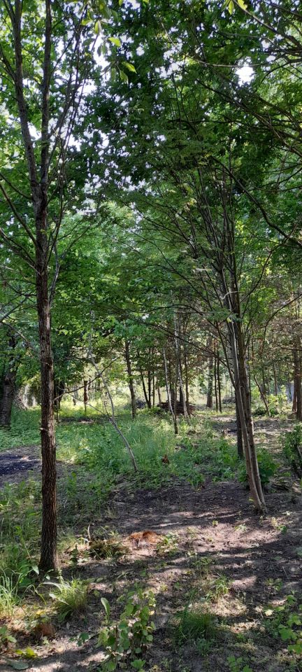 Działka budowlana Pionki, ul. Wesoła. Zdjęcie 3