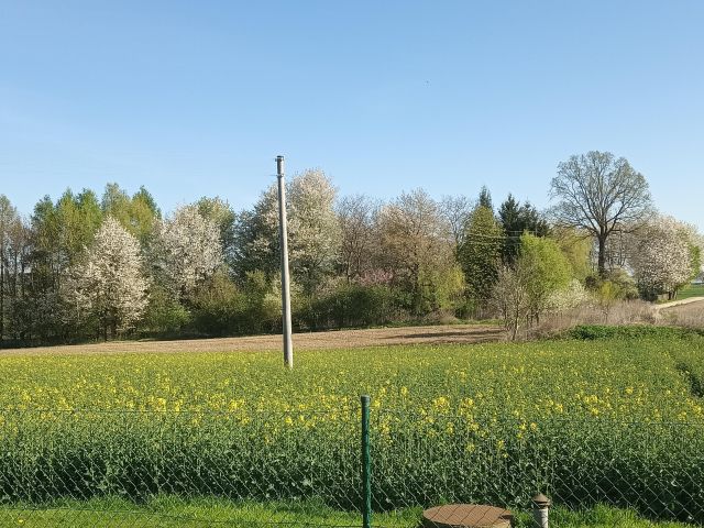 Działka budowlana Huta Józefów. Zdjęcie 1