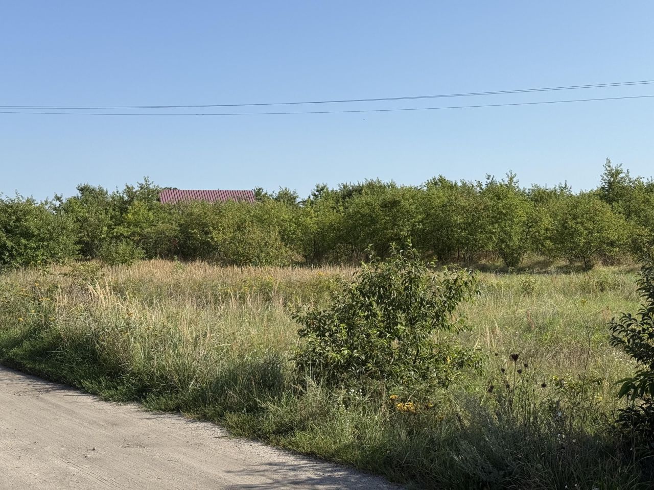 Działka budowlana Sieniawa Żarska, ul. Osiedle. Zdjęcie 3