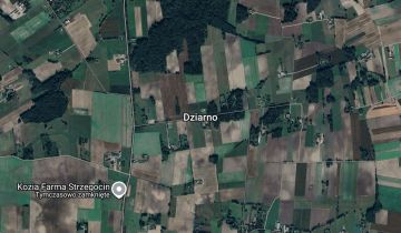 Działka rolna Dziarno