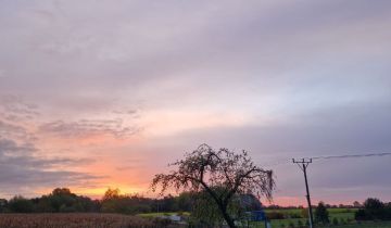 Działka budowlana Bielawa, ul. Wiązowa