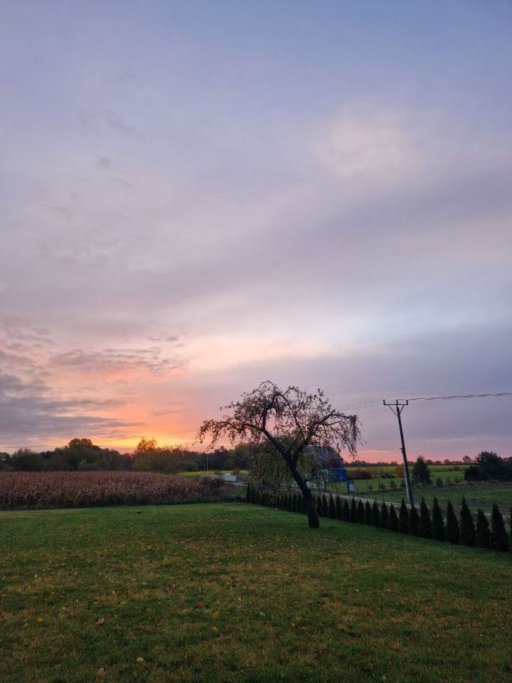 Działka budowlana Bielawa, ul. Wiązowa. Zdjęcie 2