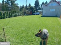 dom wolnostojący, 3 pokoje Krubin. Zdjęcie 2