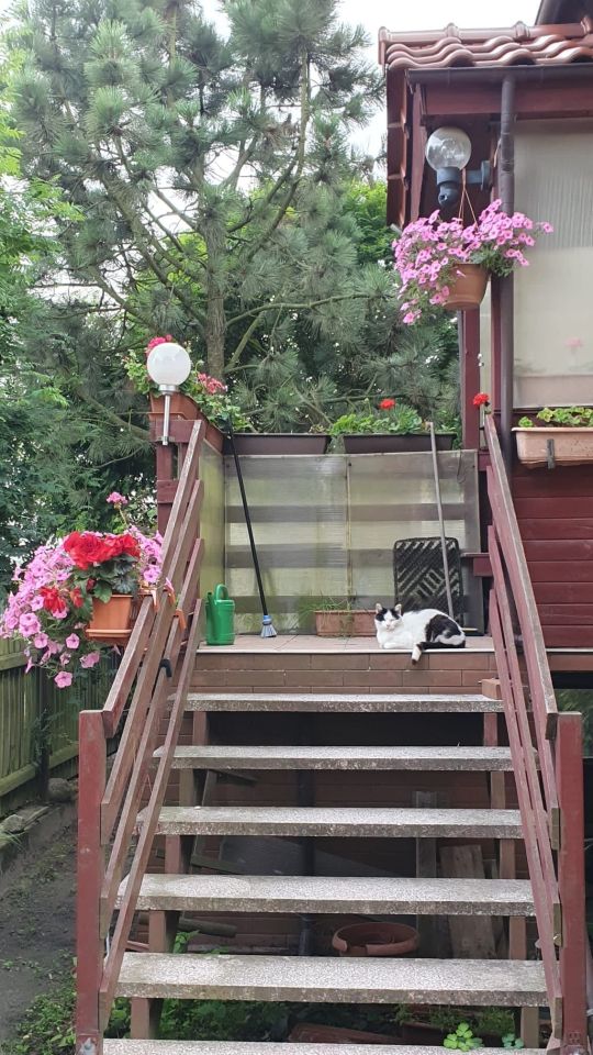 bliźniak, 6 pokoi Białężyn, Bialezyn. Zdjęcie 3