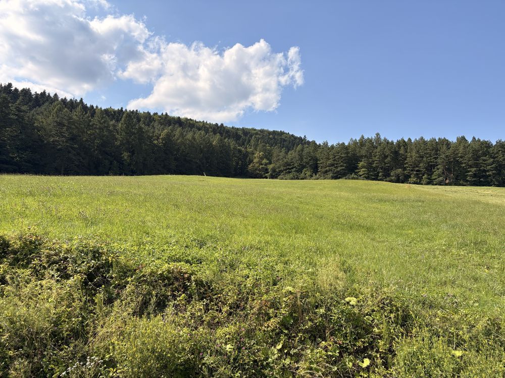 Działka rolno-budowlana Florynka. Zdjęcie 4