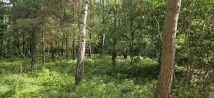 Działka budowlana Milanówek Kazimierówka, ul. Owczarska. Zdjęcie 1