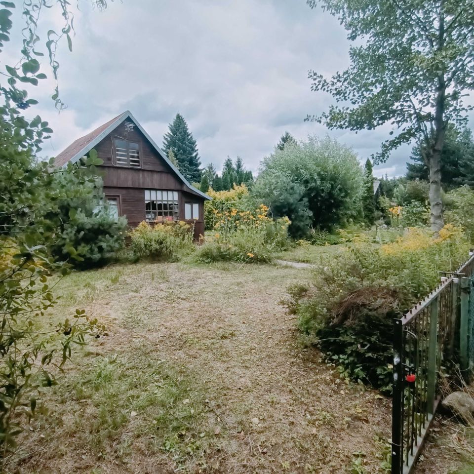 Działka rod Okuniew. Zdjęcie 7