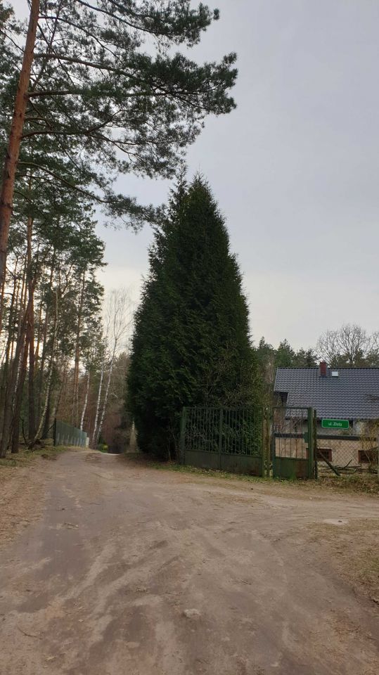 Działka Zofiówka. Zdjęcie 2