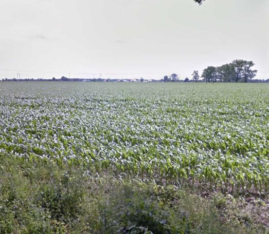 Działka budowlana Gutowo Małe, ul. Za Parkiem. Zdjęcie 1