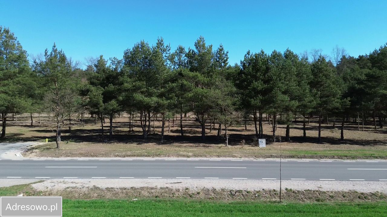 Działka budowlana Marynino. Zdjęcie 5