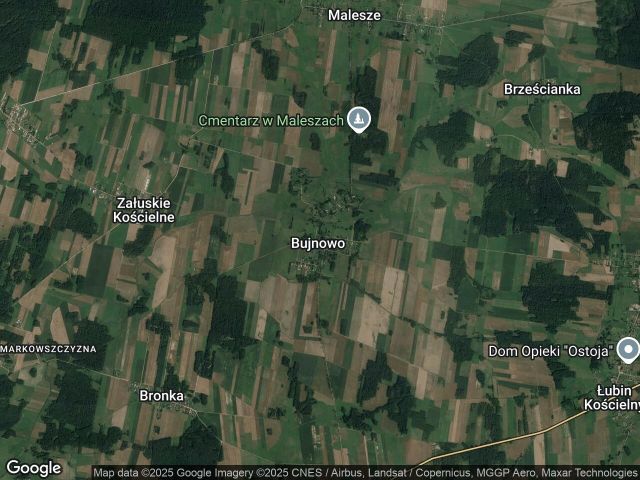 Działka rolno-budowlana Bujnowo. Zdjęcie 1