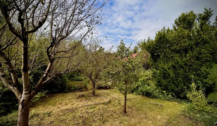 Działka rod Kraków Grzegórzki, ul. Do Przystani