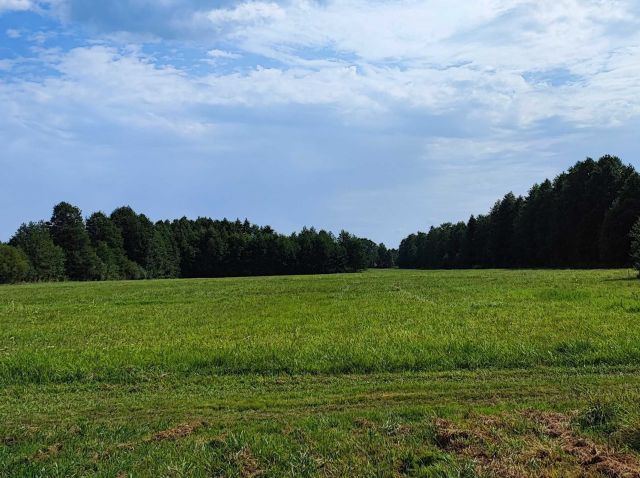 Działka rolna Stare Kiełbonki. Zdjęcie 1
