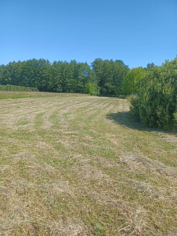 Działka budowlana Budy Ciepielińskie. Zdjęcie 2