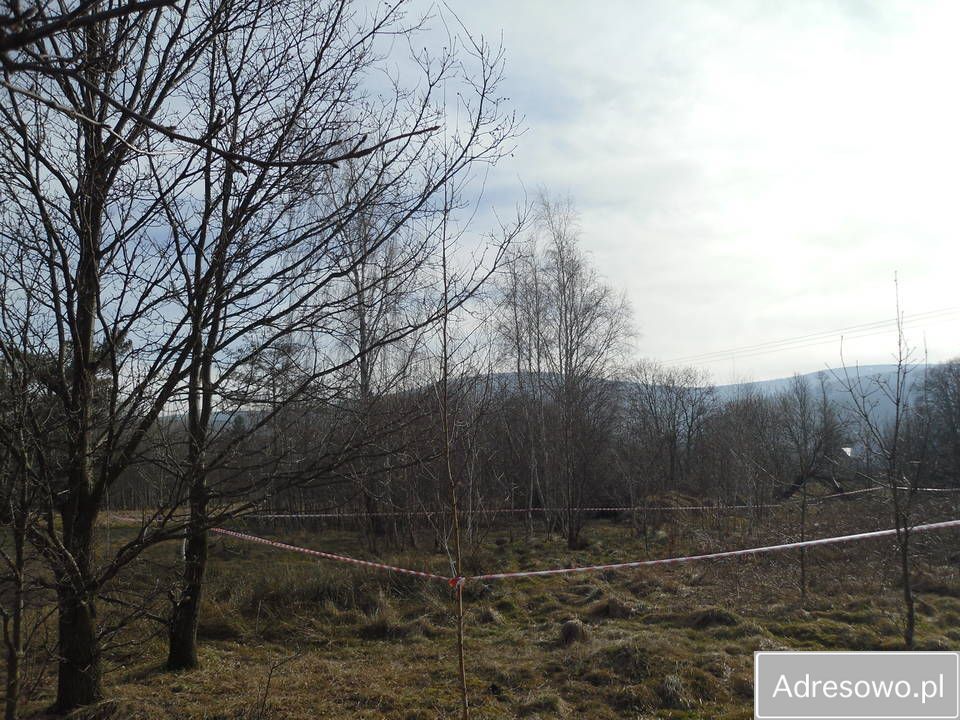 Działka budowlana Świeradów-Zdrój Czerniawa-Zdrój, ul. Główna. Zdjęcie 3