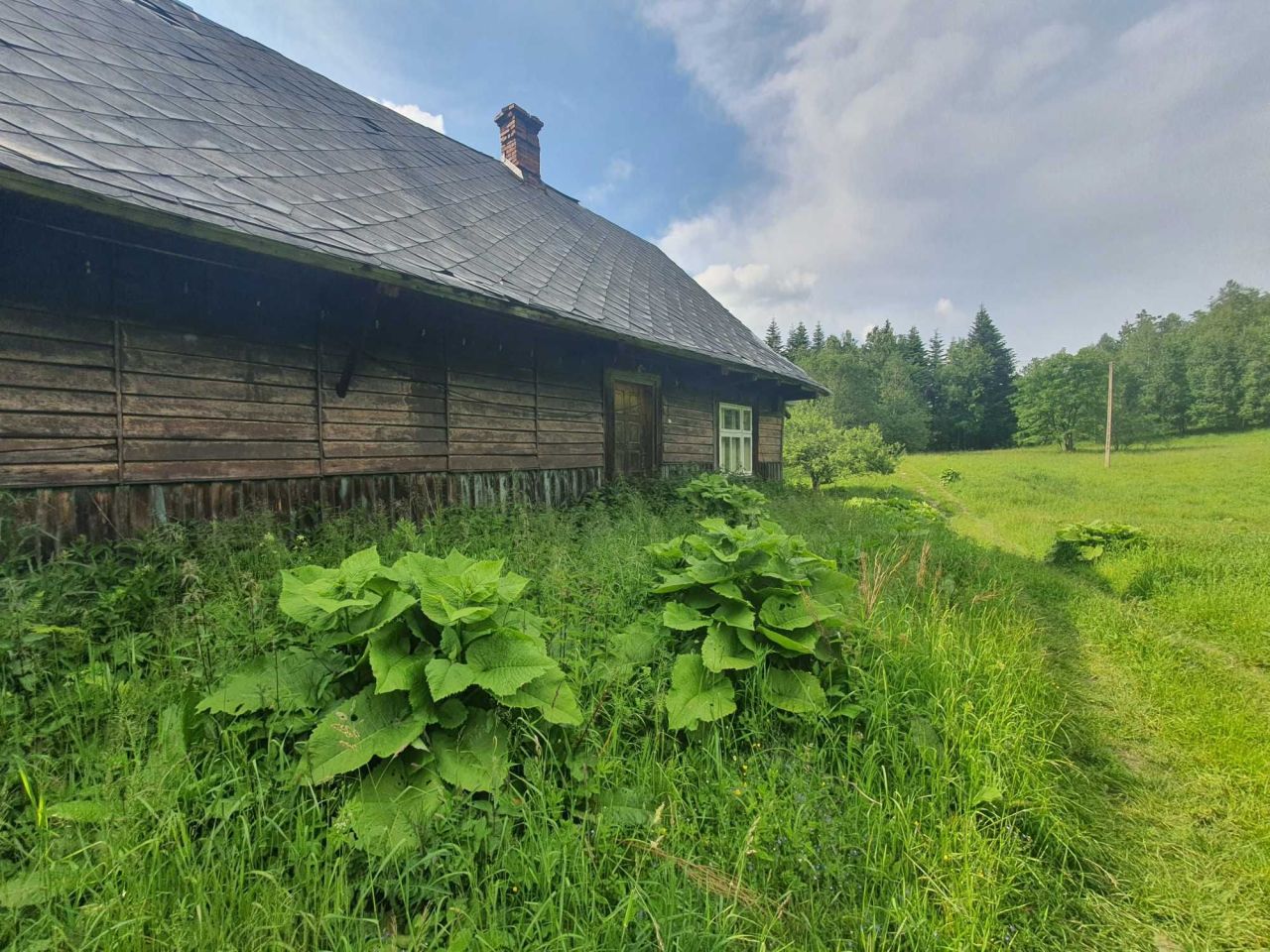 Działka rolno-budowlana Zawoja Mosorne. Zdjęcie 4