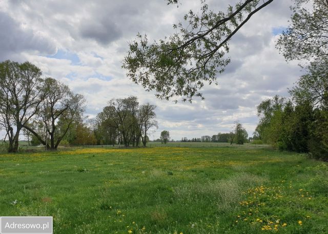 Działka budowlana Wysokie Mazowieckie. Zdjęcie 1