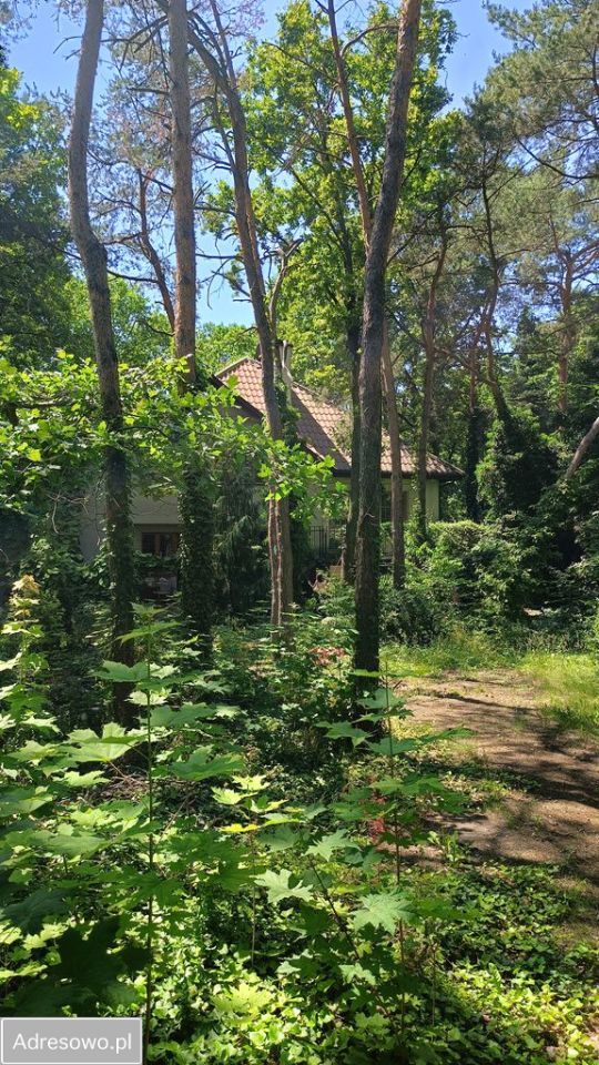 dom wolnostojący, 7 pokoi Legionowo Centrum. Zdjęcie 12