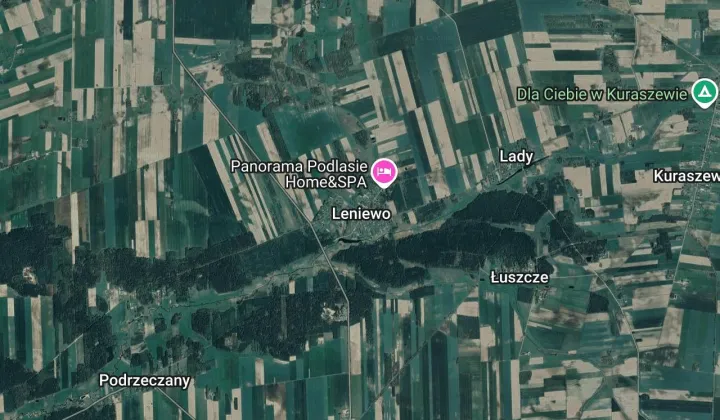 Działka rolna Leniewo