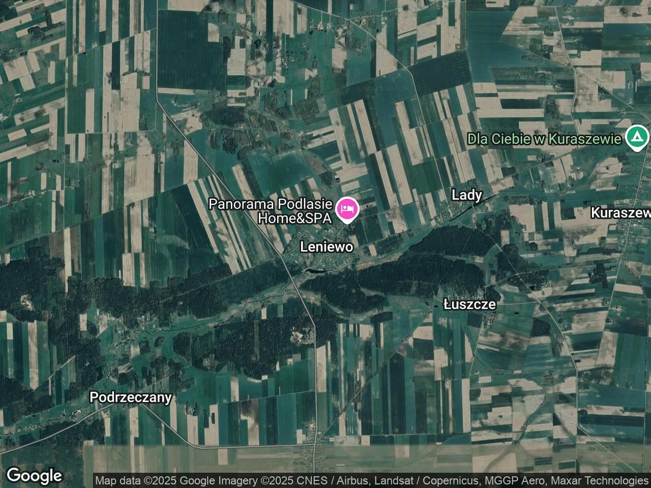 Działka rolna Leniewo