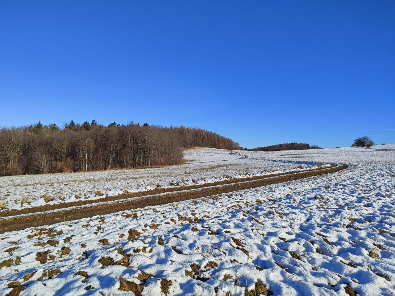Działka rolna Glinno. Zdjęcie 3