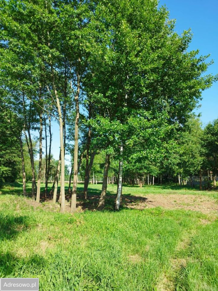 Działka budowlana Rokitki. Zdjęcie 4