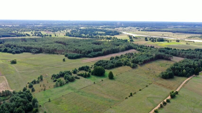 Działka rolna Osetno. Zdjęcie 7