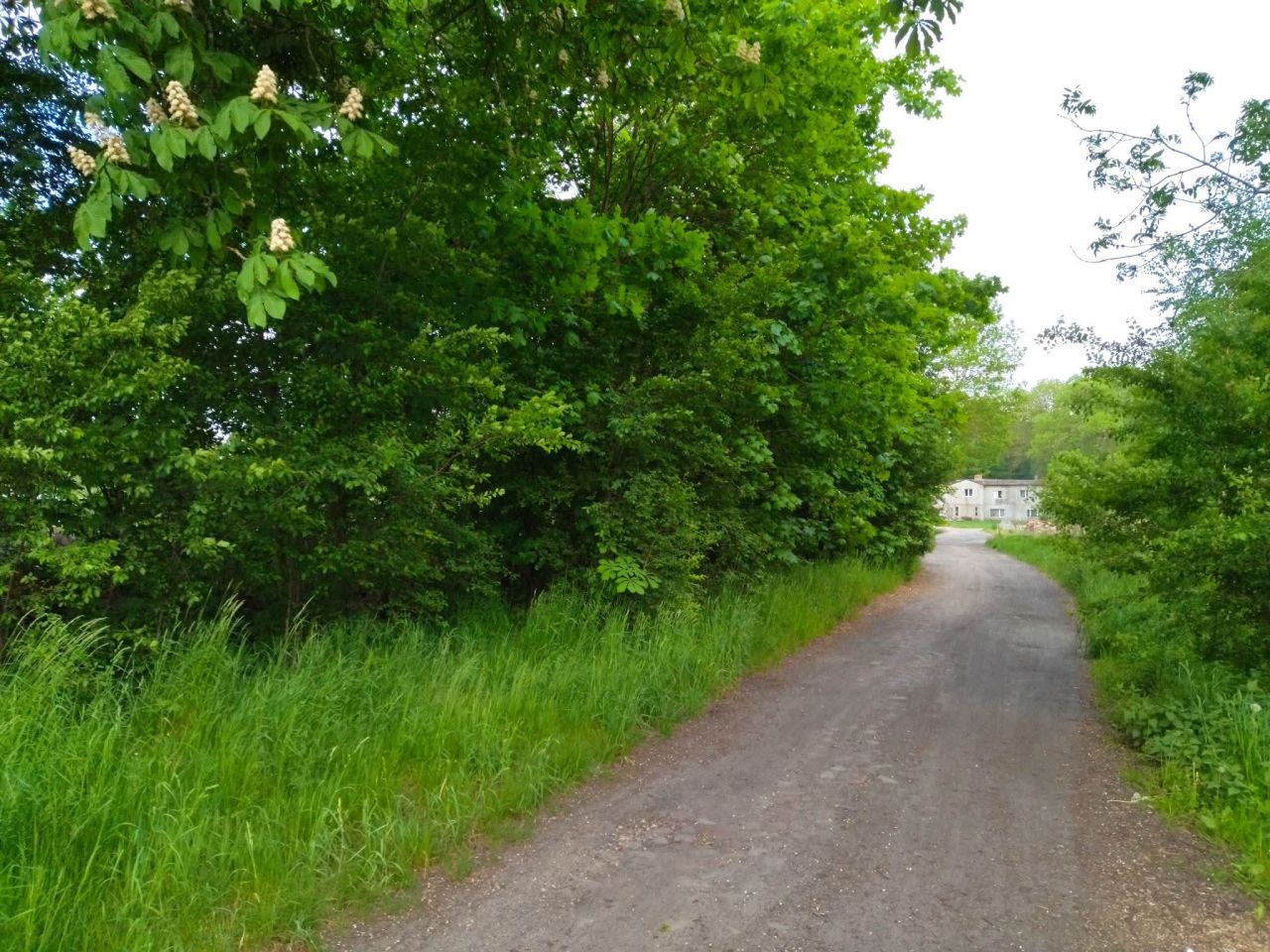 Działka budowlana Darżewo. Zdjęcie 6