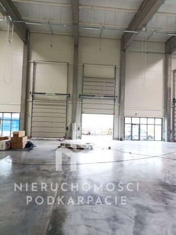 Hala/magazyn Rzeszów Dworzysko, ul. Biznesowa. Zdjęcie 3