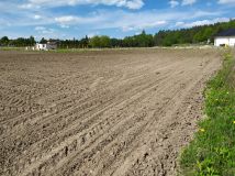 Działka budowlana Janów, ul. Pana Tadeusza. Zdjęcie 2
