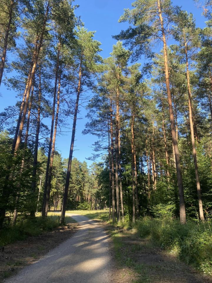 dom wolnostojący, 4 pokoje Piece, ul. Lipowa. Zdjęcie 14