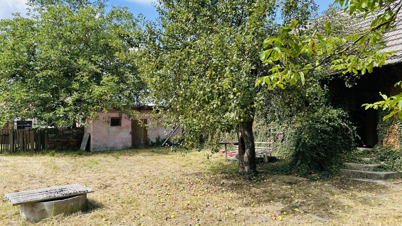 Działka rolna Czarnca, ul. Słoneczna. Zdjęcie 6