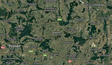 Nieruchomość komercyjna do wynajęcia bez pośredników 
 
 Mnichowo - Widok 5